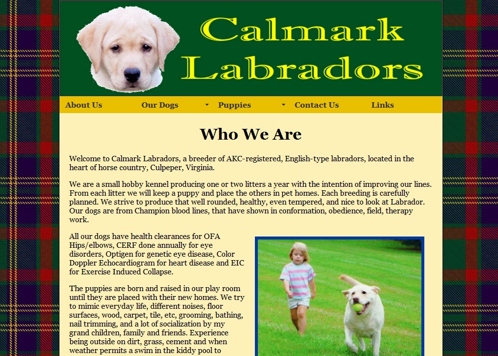 Calmark Labradors